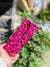 Rose Lily Energy Bar